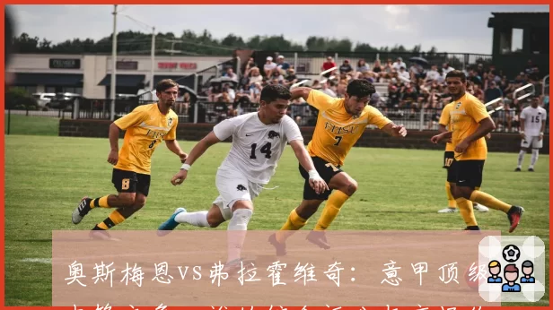 奥斯梅恩vs弗拉霍维奇：意甲顶级中锋之争，谁的综合评分与市场价值更高？