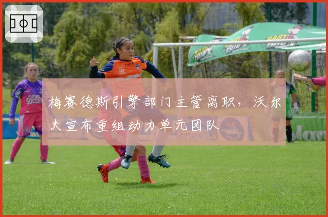 梅赛德斯引擎部门主管离职，沃尔夫宣布重组动力单元团队