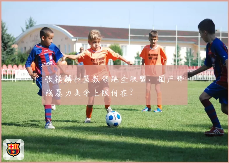 张镇麟扣篮数领跑全联盟，国产锋线暴力美学上限何在？